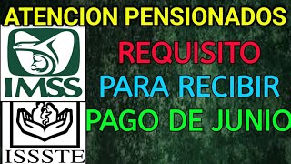 AVISO ADULTOS MAYORES PENSION IMSS NUEVO REQUISITO PARA PAGO JUNIO 2024 | ENTERATE