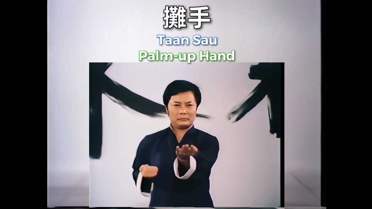 黃淳樑 示範 詠春 小念頭所有動作招式拆解 Wong Shun Leung performs the Wing Chun Siu Nim Tao, every move with subtitles