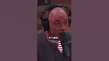 Pythons have INFESTED in the Everglades.. #shorts #pythons #everglades #jre #jreclips #fyp