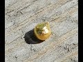 Золото из пирита. Gold from pyrite