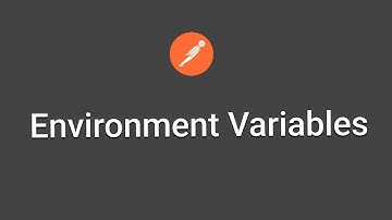 How to set postman environment variables