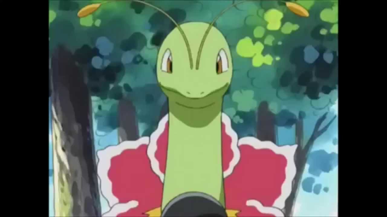 Competitive Pokemon How 2 Meganium Youtube