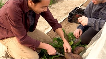 Major in sustainable food systems at the University of Delaware