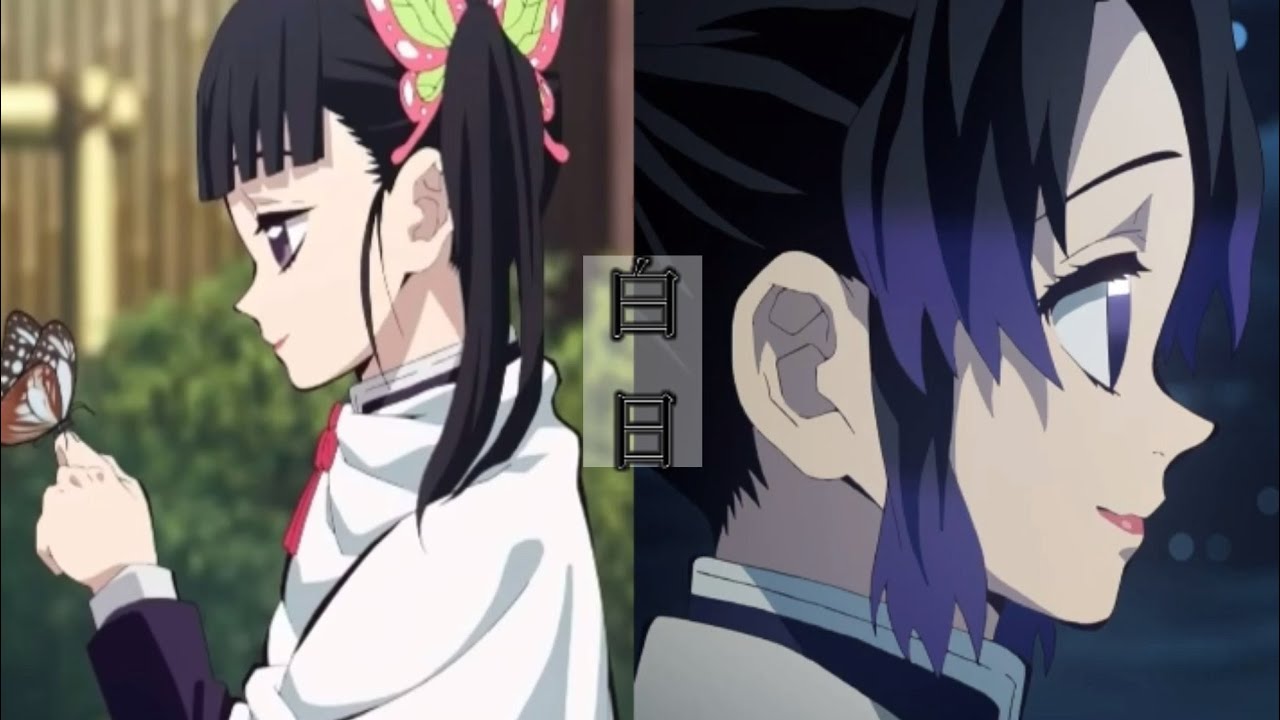 [MAD/AMV]胡蝶しのぶ・栗花落カナヲ×白日[鬼滅の刃]