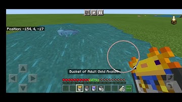 Mcpe/Mcbe Axolotl colors showing up in buckets and Joe [more axolotl variants dev log #1]