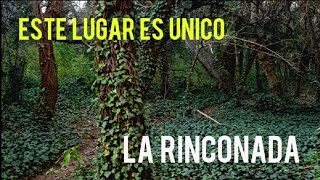 🌳 LUGAR ÚNICO de Córdoba!!! LA RINCONADA - 🌿 Parque Francisco Tau - BELL VILLE
