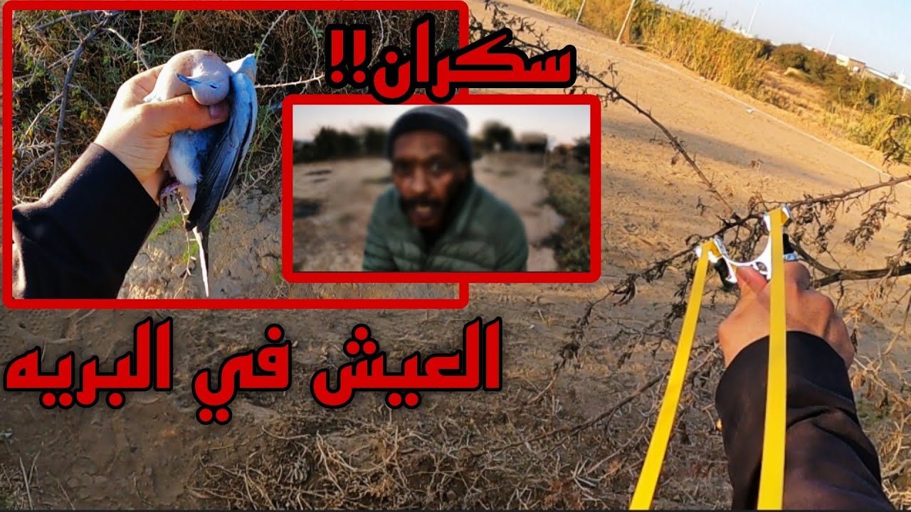 العيش في البريه الجزء 10 تهاوشت معه😑