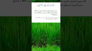 urdu islami bayan islamicstatus bayan islamicvideo islam islamic moulanatariqjameel