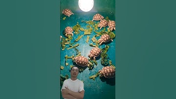 Nuôi rùa không cực lắm đâu mọi người 🐢 #shorts #turtle