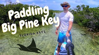 Paddle Boarding Big Pine Key | Florida Keys Paddle Boarding 03