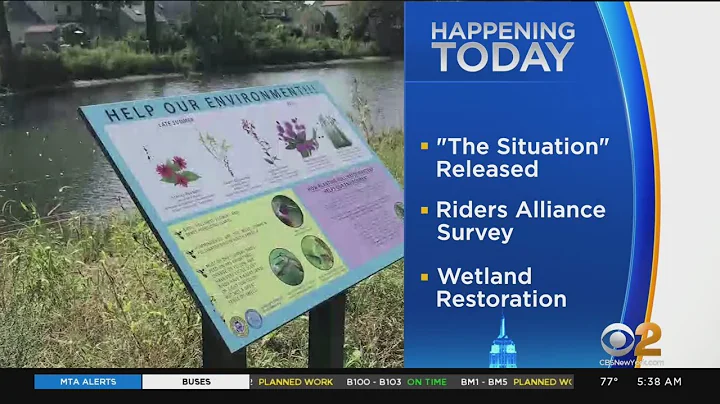 Valley Stream Wetland Restoration Opens Today