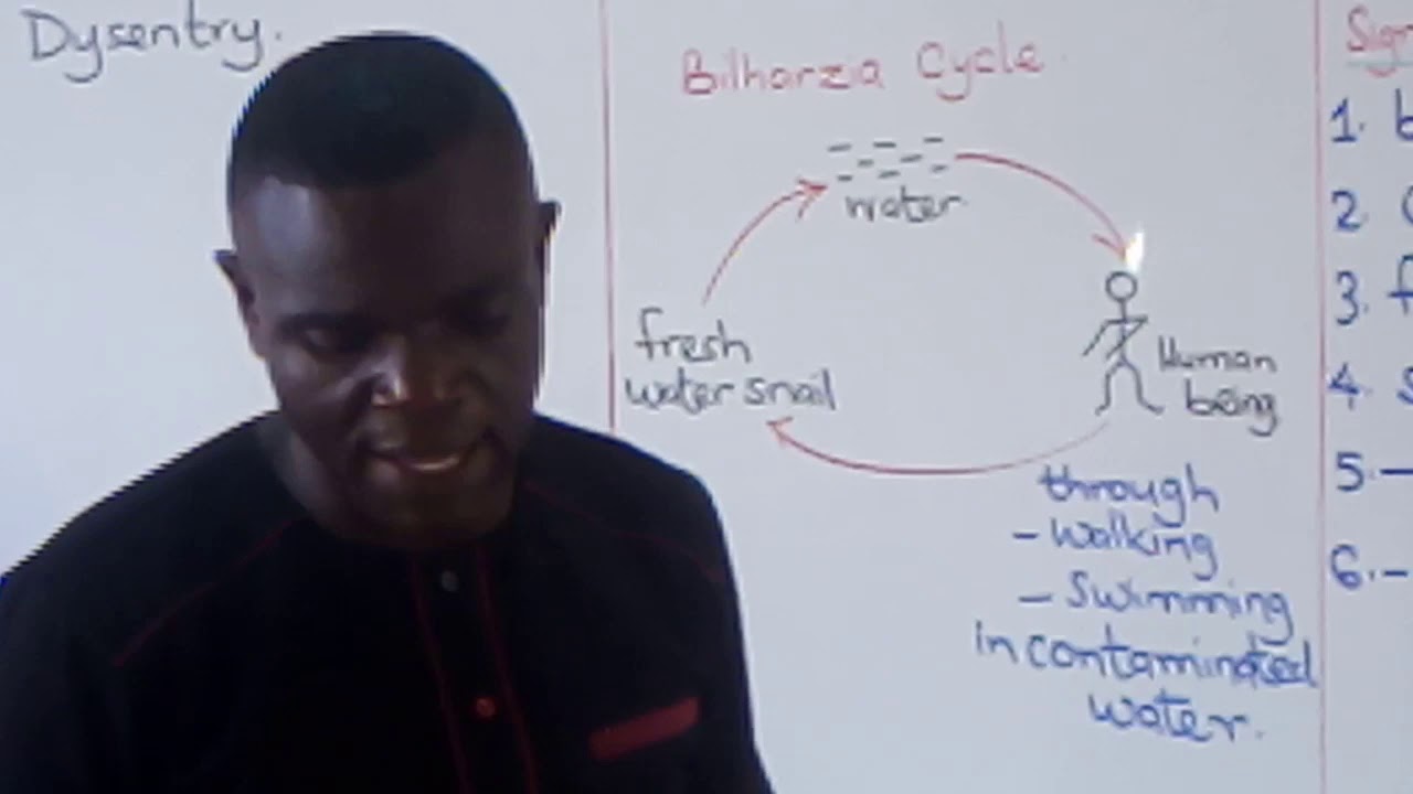Science Lesson - YouTube