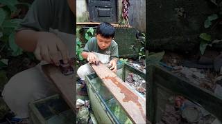 knalpot brong #shorts #funny #trending #subscribe