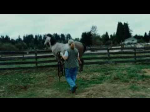 Пиньян кеннет imdb. Mr hands 2. Mr hands. Мистер руки лошадь оригинал. Mr hands 2.