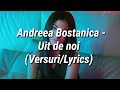 Andreea Bostanica - Uit de noi (Versuri/Lyrics)