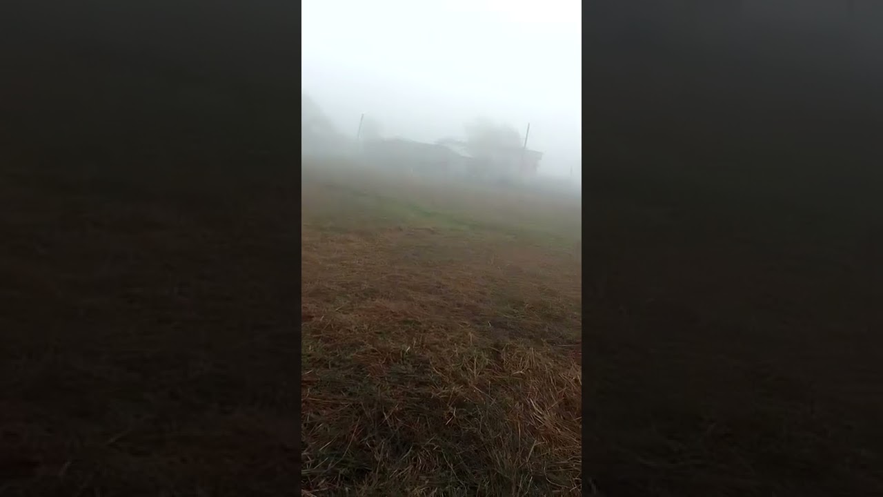 Misty winter morning near by.