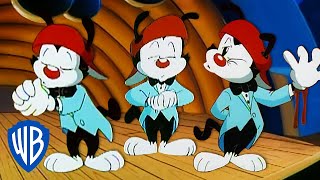 Animaniacs | Wakko Makes Music With his Hand?! | Classic Cartoon | WB Kids