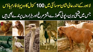 A 100 Kanal Farmhouse in Lahore Which has Expensive Deers, Miniature Horses & Thousands of Birds