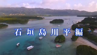 ドローン映像どこでもドロンパ 11【DJI Mavic Air 2】 