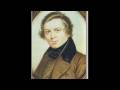 Schumann - Violin Concerto in D Minor WoO 23 - First Movement (Part 1 of 2)