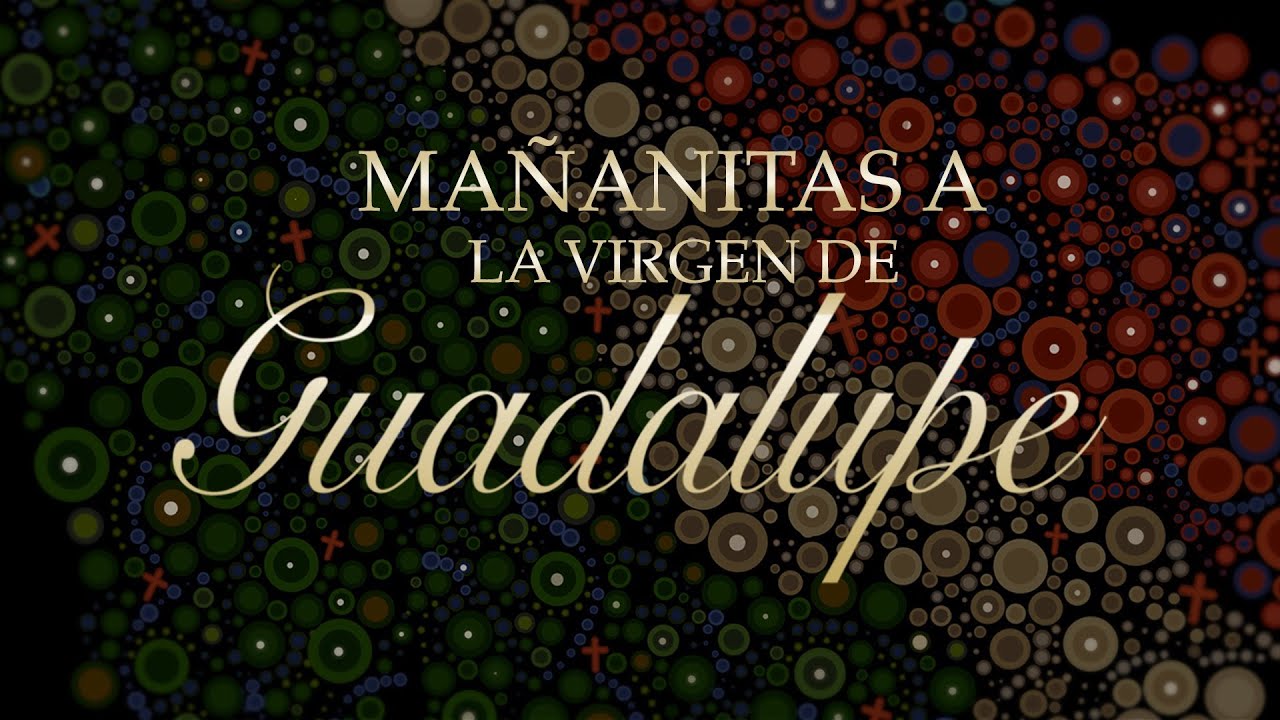 🔴EN VIVO |  Desde el Cerrito del Tepeyac en Des Plaines, IL, con la celebración a la Virgen Morena