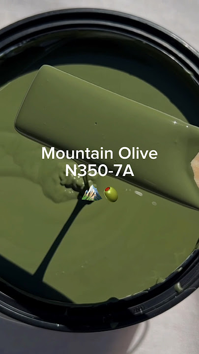 Calling all olive lovers…📞Your favorite paint mix just dropped. 🫒🍸✨🤍 #BEHR #TodayLetsPaint