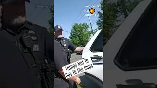 Why Would You Say That To A Cop?!