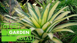 Exoctic Garden Walkaround | GARDEN | Great Home Ideas