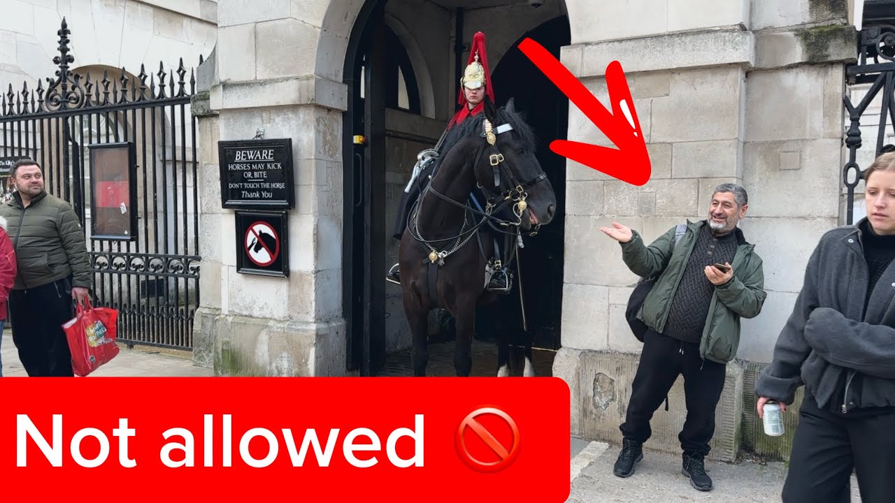 Strict Warning at Horse Guards – No Touching!