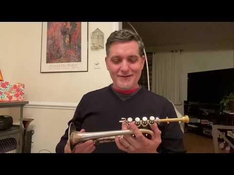Como aprender a Piccolo Trumpet