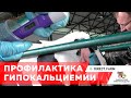 Профилактика гипокальциемии коров. Анионные добавки