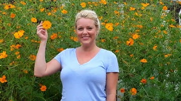 Jessica Jorge Intro Video for DaDaABC (Original)