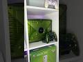 XBOX Original Halo Special Edition Startup Xbox Asmr Halo Retrogaming Gaming Startup