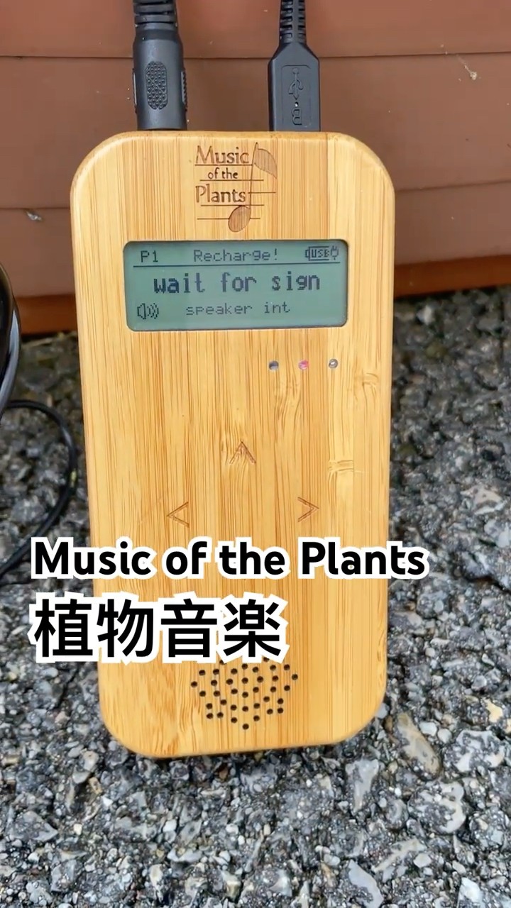 植物音楽/Music of the Plants 20241024 1 #植物音楽 - YouTube