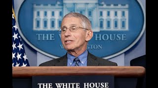 Dr. Fauci Says The Independent Spirit Of Americans Has Hurt The Countrys Response To The Virus