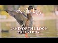 1 hour of relaxing music dan gibsons solitudes  land of the loon full album