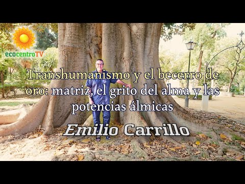 Transhumanismo y el becerro de oro: matriz, el grito del alma y las potencias álmicas