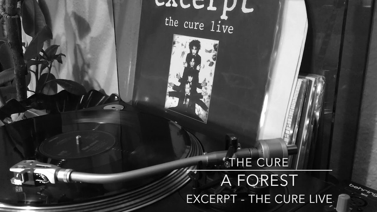 The cure forest. The Cure a Forest.