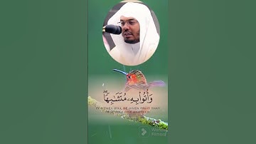 "وبشر الذين آمنوا وعملوا الصالحات أن لهم جنات ... "الغريد ياسر الدوسري في تلاوة مهيبة تأخذ بالألباب