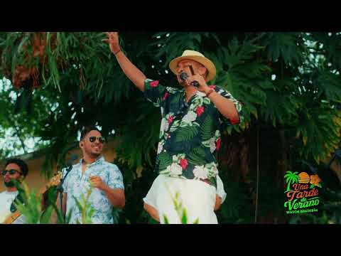 BUENA VIBRA - WASON BRAZOBAN (UNA TARDE DE VERANO)