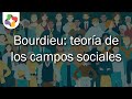 Bourdieu y la teoría de los campos sociales - Sociología - Educatina