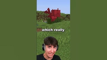 Never Give This Item to an Allay