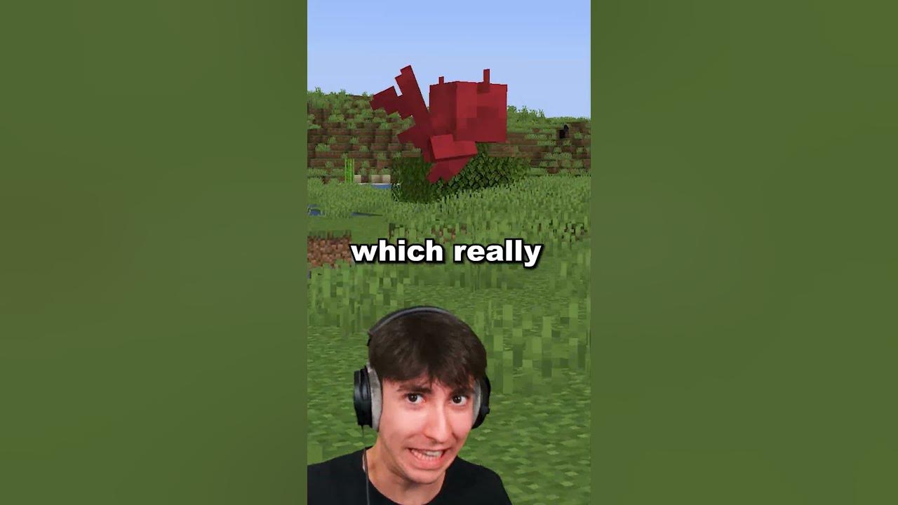 Never give this item to an allay youtube