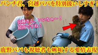 【パンチくん 🐵 えこひいきが激しすぎます！💋💕】宮越パパへの愛情表現には、鹿野パパも視聴者も嫉妬してしまいますね🤣#パンチくん