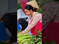 17 year old girl fell in love when she met a village boy Harvesting squash for sale