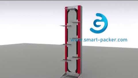 3D demonstration video carton transition conveyor customized lift conveyor video