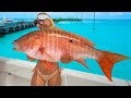 Newbie gf hooks dream fish in florida keys catch clean  cook