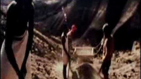 BBC The Missing Link 1