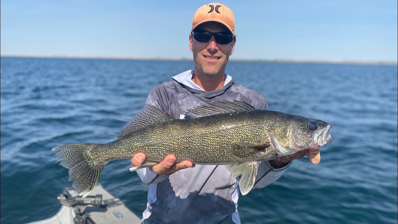 Подпрыгивающий на дне судак на озере Дифенбейкер