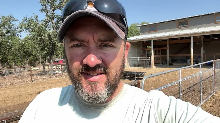 The Difference Between Cage Free, Free Range & Pasture Raised Eggs